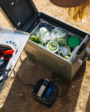 Glacière Électrique Dometic CFX5 35
